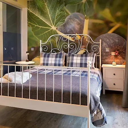 Villa Fig Tree House